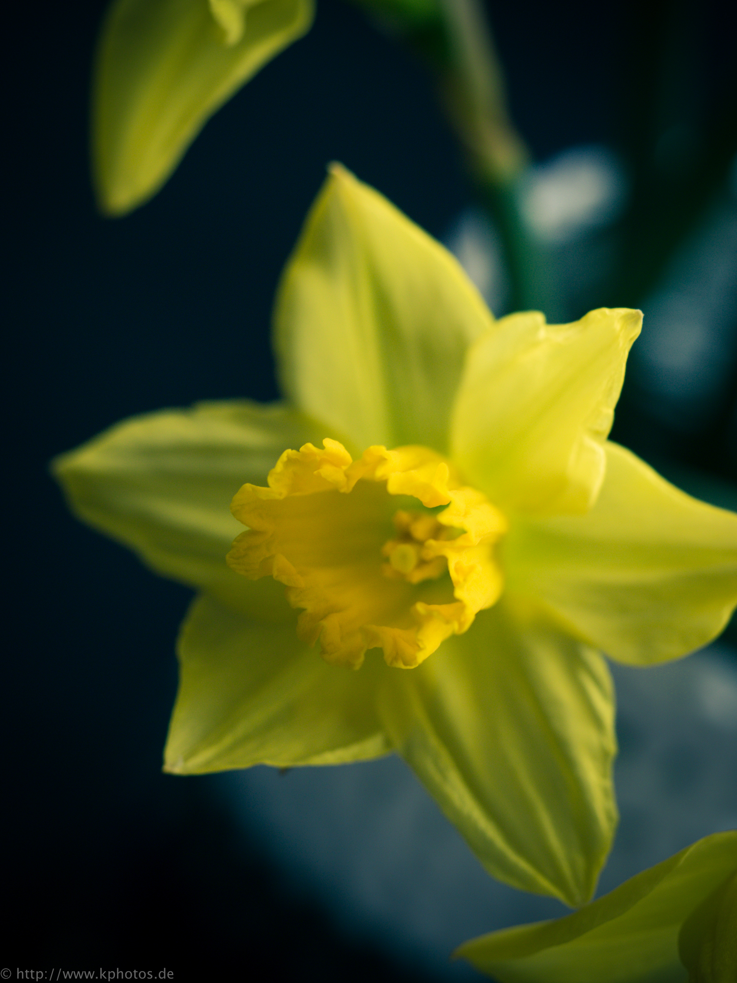 still alive still alive